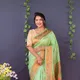 PISTA__Royal Rajgharana Sarees